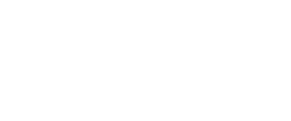 Ariic logo