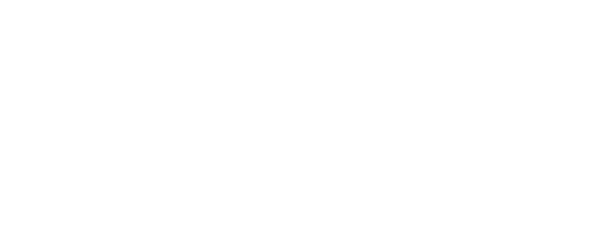 X-Wedge logo